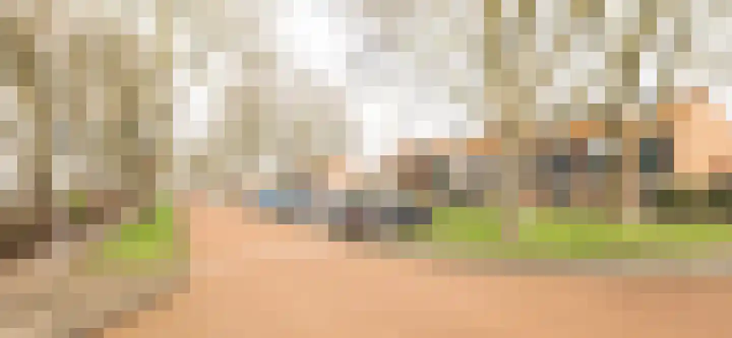 Bachlaan 68 Culemborg thumbnail 59