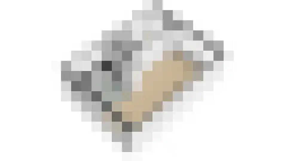 Bachlaan 68 Culemborg thumbnail 62