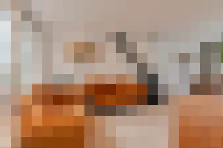 Bachlaan 68 Culemborg thumbnail 7