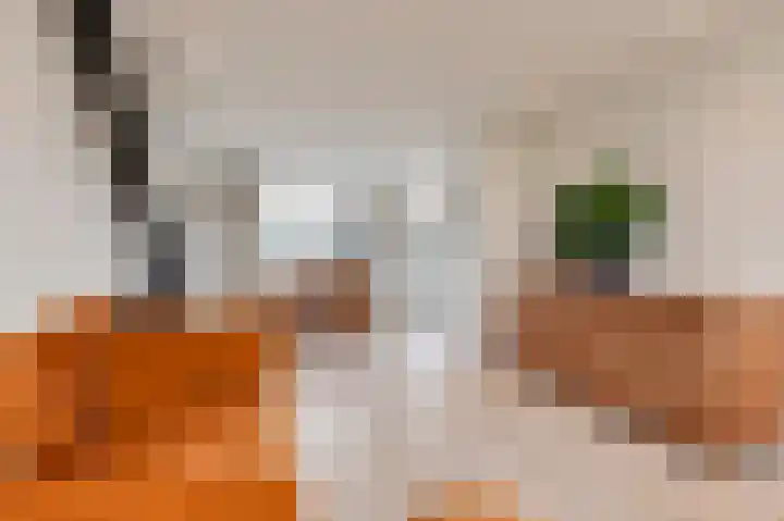 Bachlaan 68 Culemborg thumbnail 8
