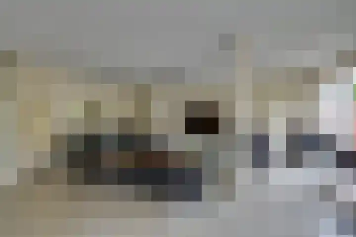 Bachlaan 69 A Oud-Beijerland thumbnail 13