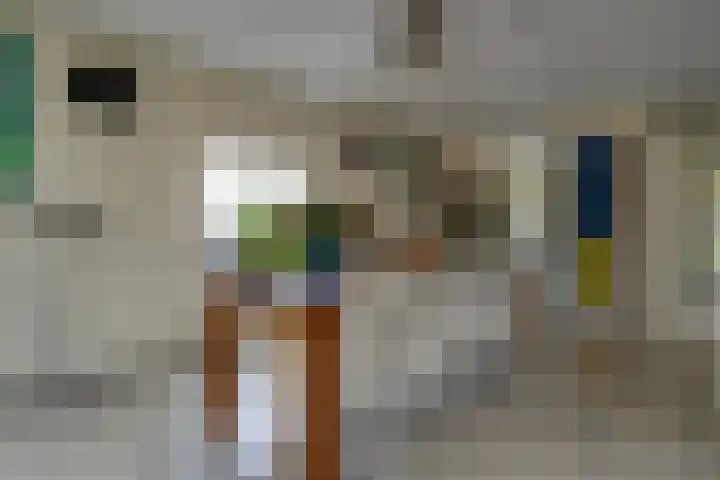 Bachlaan 69 A Oud-Beijerland thumbnail 17