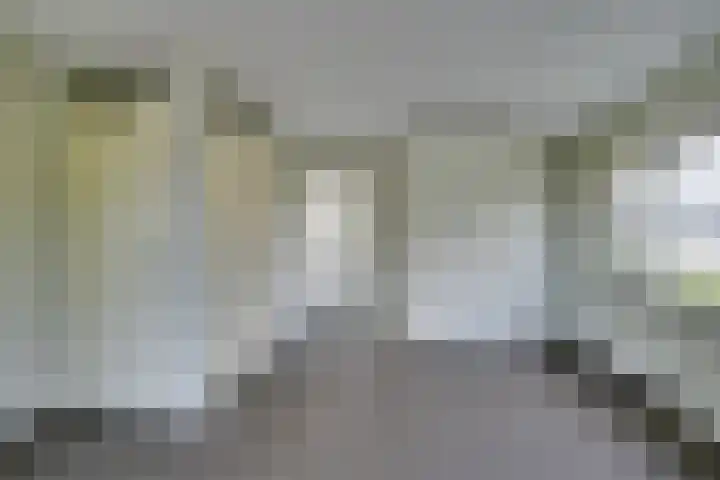 Bachlaan 69 A Oud-Beijerland thumbnail 30