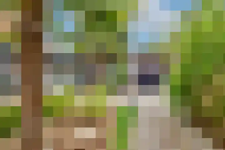 Bachlaan 69 A Oud-Beijerland thumbnail 39