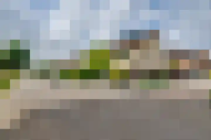 Bachlaan 69 A Oud-Beijerland thumbnail 5