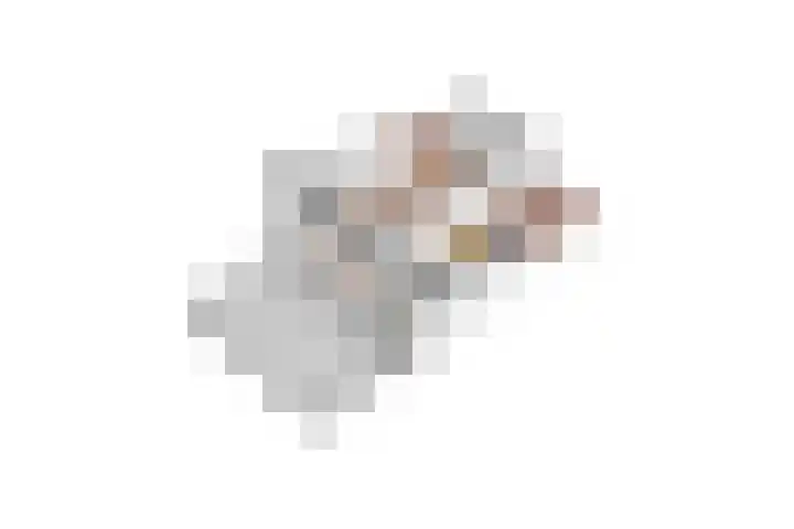 Bachlaan 69 A Oud-Beijerland thumbnail 61