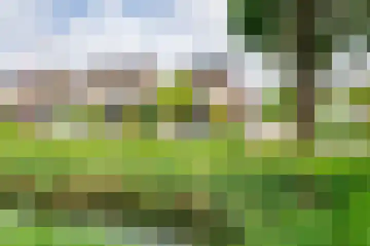 Bachlaan 69 A Oud-Beijerland thumbnail 66
