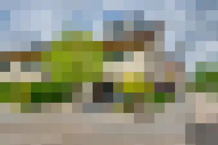 Bachlaan 69 A Oud-Beijerland thumbnail 8
