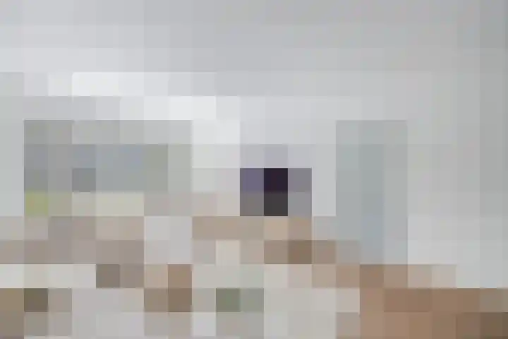 Bachlaan 69 Alkmaar thumbnail 10