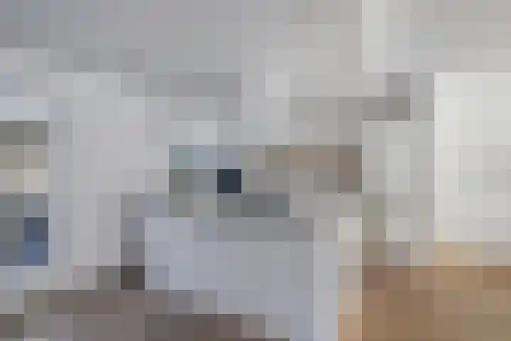 Bachlaan 69 Alkmaar thumbnail 14