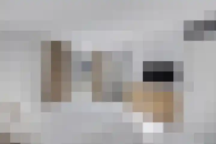 Bachlaan 69 Alkmaar thumbnail 22