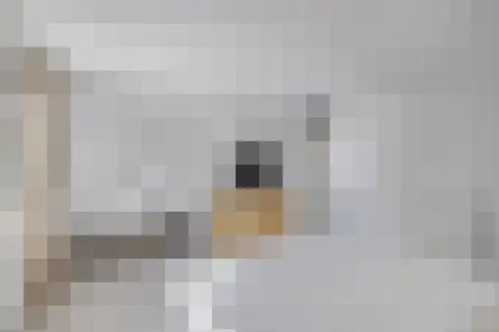 Bachlaan 69 Alkmaar thumbnail 23
