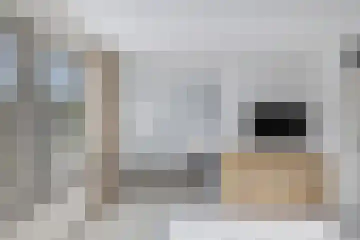 Bachlaan 69 Alkmaar thumbnail 24