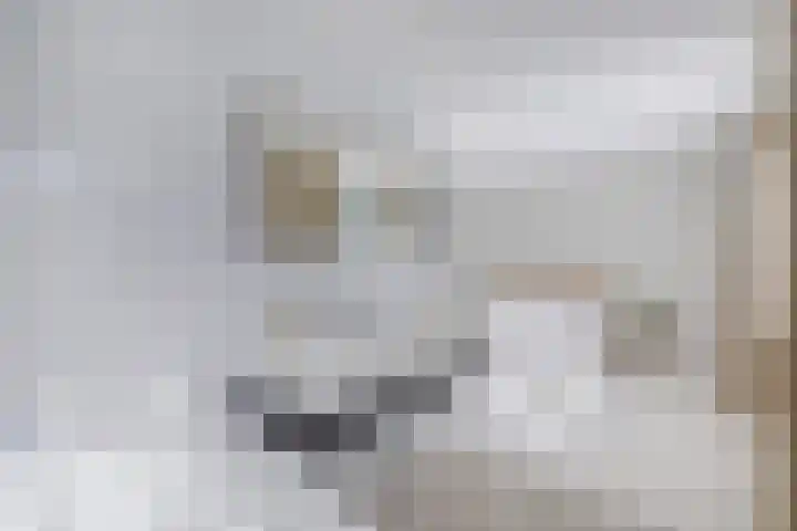 Bachlaan 69 Alkmaar thumbnail 26