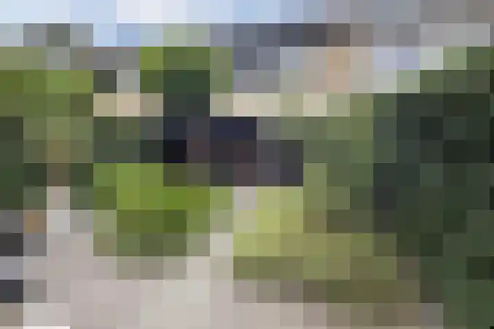 Bachlaan 69 Alkmaar thumbnail 37