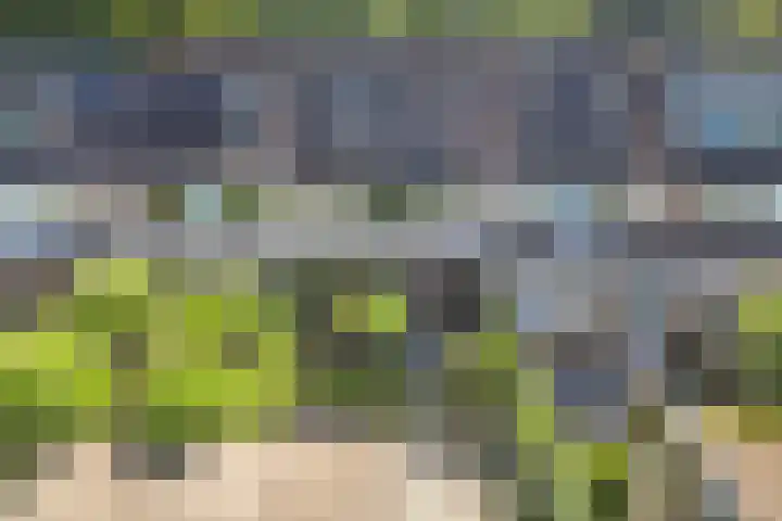 Bachlaan 69 Alkmaar thumbnail 40