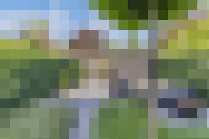 Bachlaan 69 Alkmaar thumbnail 41