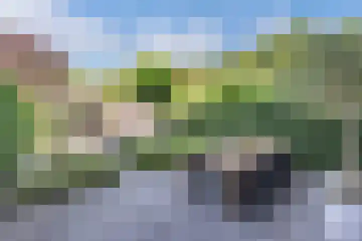 Bachlaan 69 Alkmaar thumbnail 42