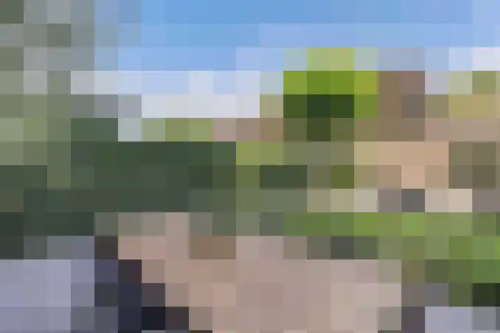 Bachlaan 69 Alkmaar thumbnail 43