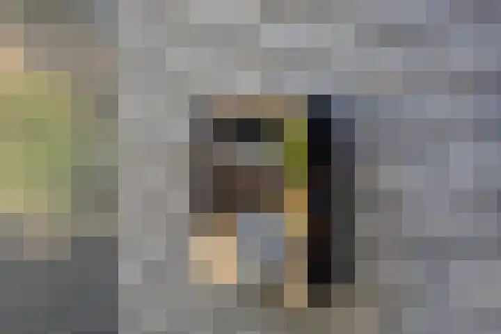 Bachlaan 69 Alkmaar thumbnail 48