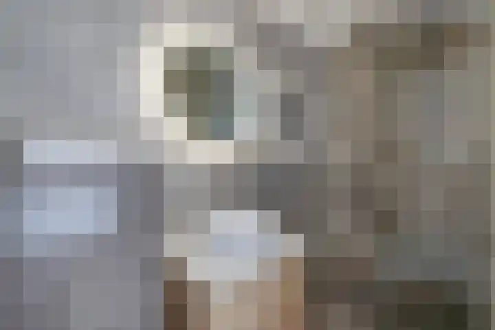 Bachlaan 69 Alkmaar thumbnail 5