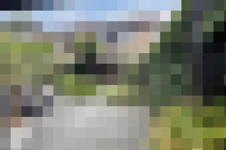 Bachlaan 69 Alkmaar thumbnail 57