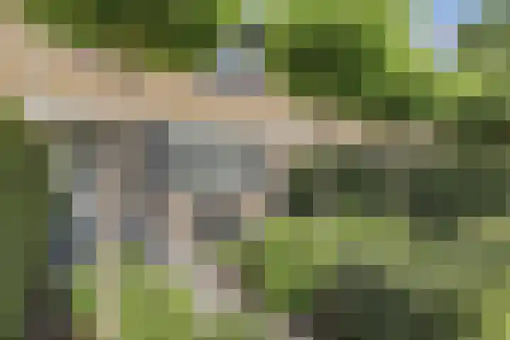 Bachlaan 69 Alkmaar thumbnail 6