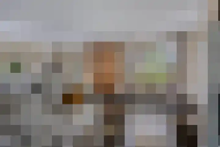 Bachlaan 7 Almelo thumbnail 12