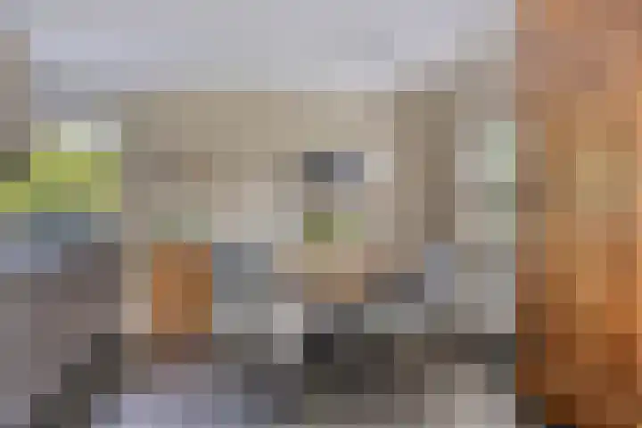 Bachlaan 7 Almelo thumbnail 14