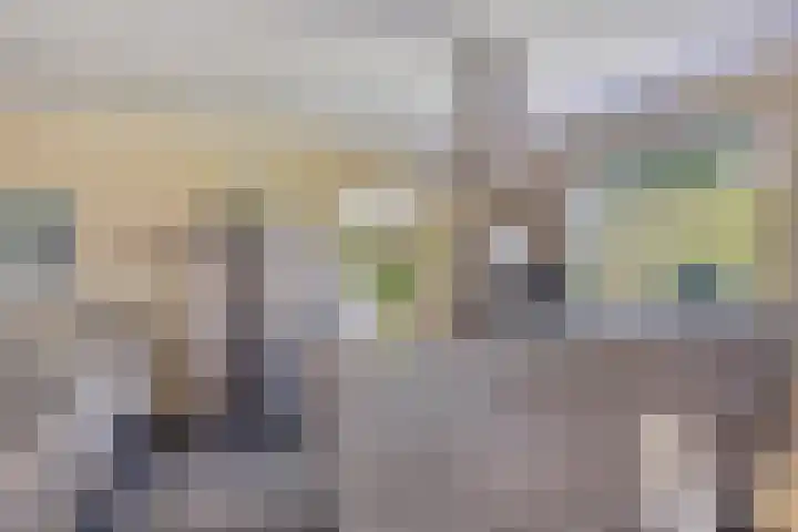 Bachlaan 7 Almelo thumbnail 15