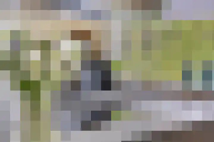 Bachlaan 7 Almelo thumbnail 16