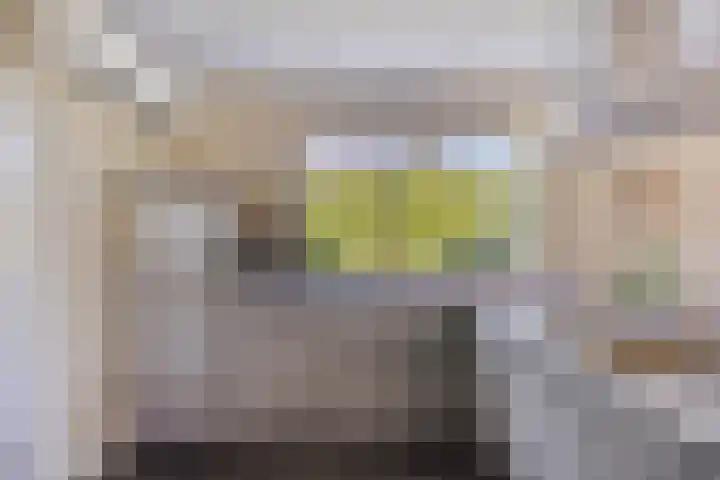 Bachlaan 7 Almelo thumbnail 17