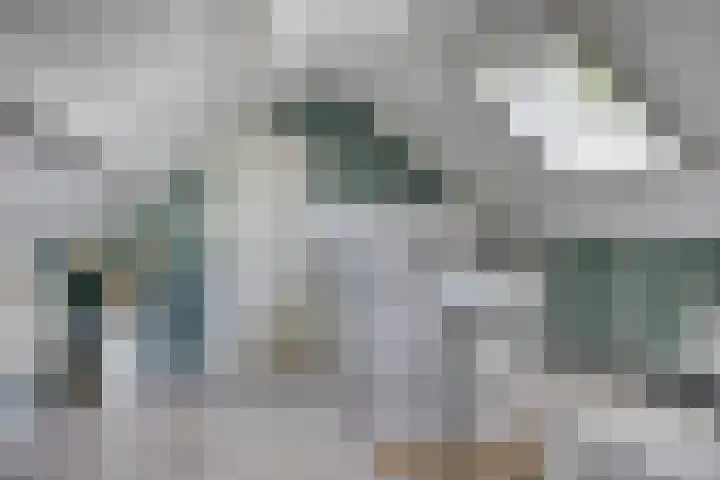 Bachlaan 7 Almelo thumbnail 25