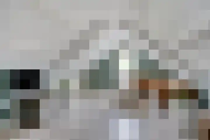 Bachlaan 7 Almelo thumbnail 26