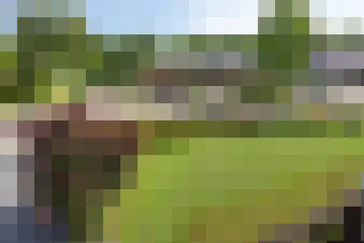 Bachlaan 7 Almelo thumbnail 28
