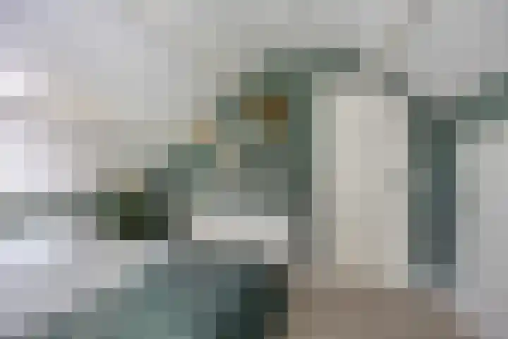 Bachlaan 7 Almelo thumbnail 30