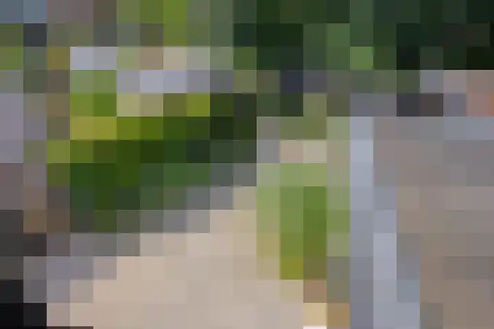 Bachlaan 7 Almelo thumbnail 31