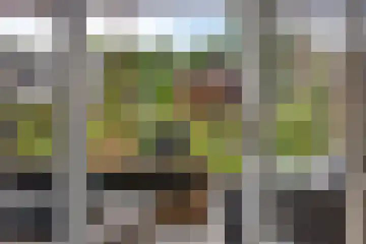 Bachlaan 7 Almelo thumbnail 33