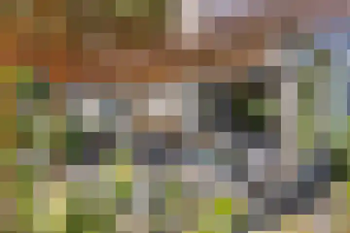 Bachlaan 7 Almelo thumbnail 34