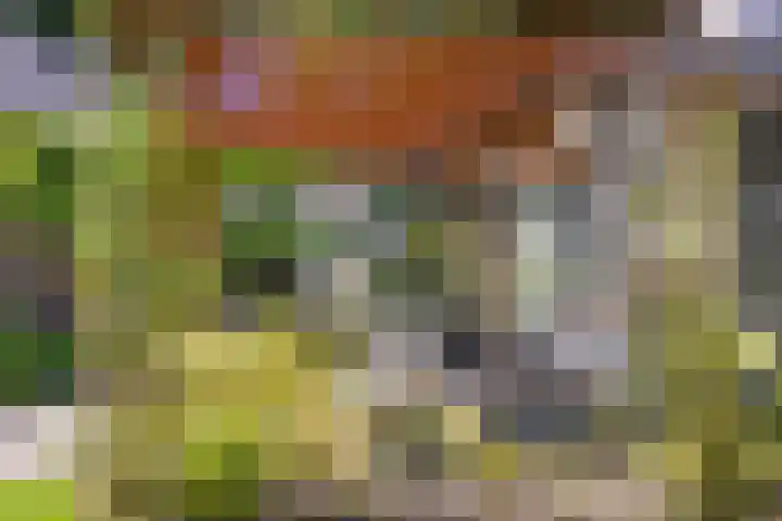 Bachlaan 7 Almelo thumbnail 36