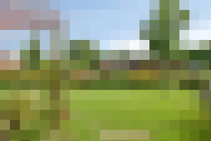 Bachlaan 7 Almelo thumbnail 37