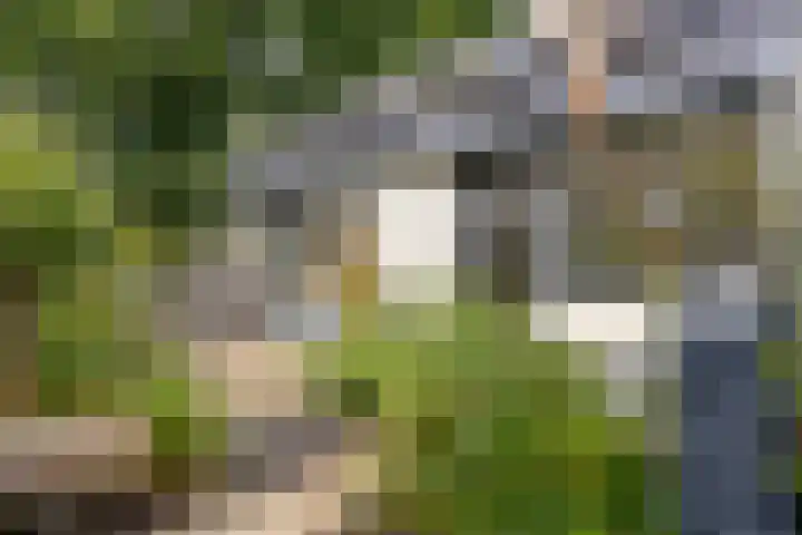Bachlaan 7 Almelo thumbnail 39
