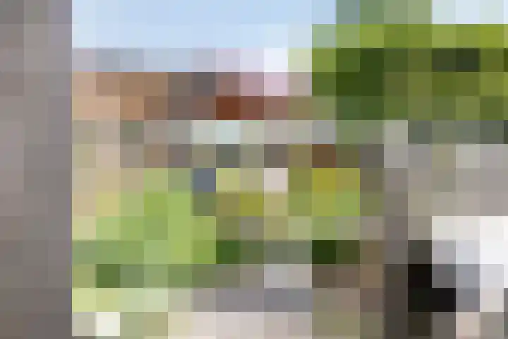 Bachlaan 7 Almelo thumbnail 40