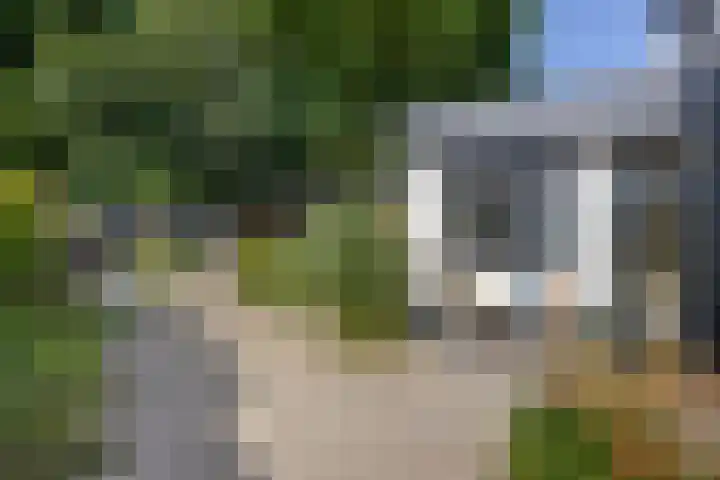 Bachlaan 7 Almelo thumbnail 41