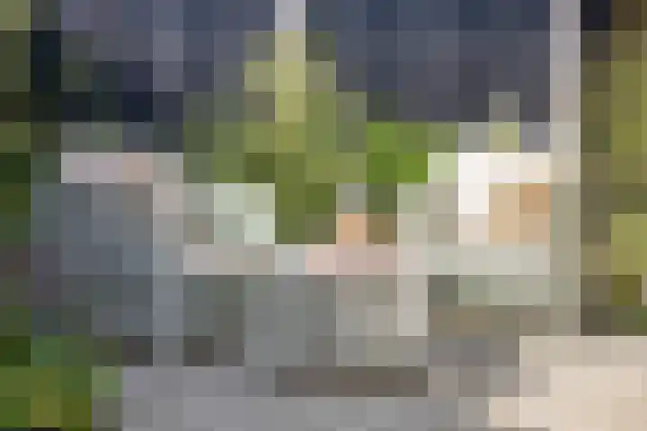 Bachlaan 7 Almelo thumbnail 42