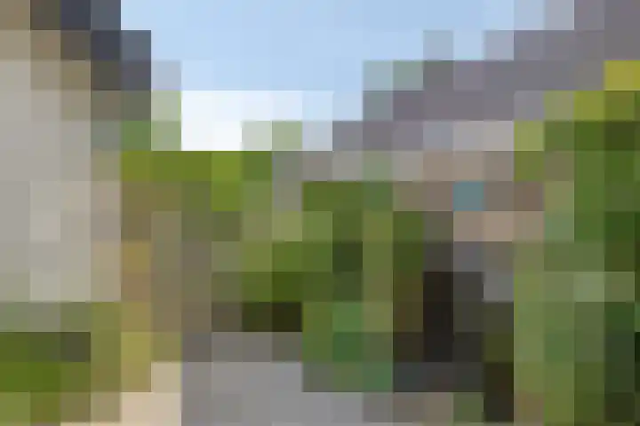Bachlaan 7 Almelo thumbnail 43