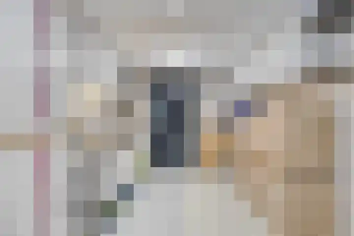 Bachlaan 7 Almelo thumbnail 47