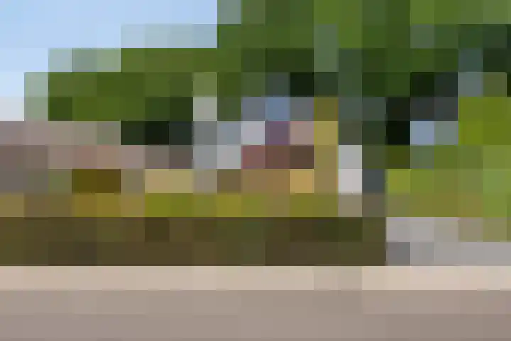 Bachlaan 7 Almelo thumbnail 5