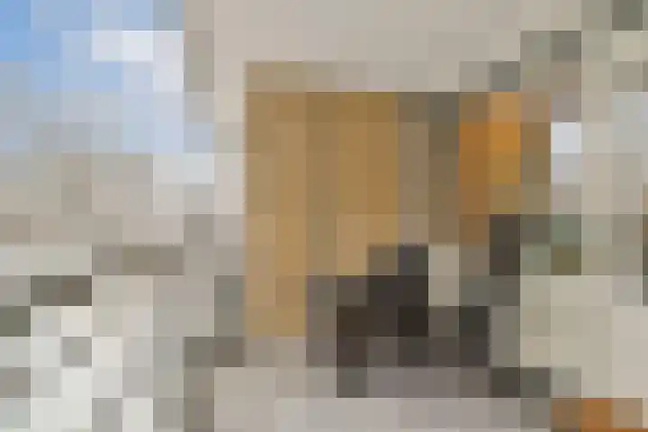 Bachlaan 70 Rotterdam thumbnail 13