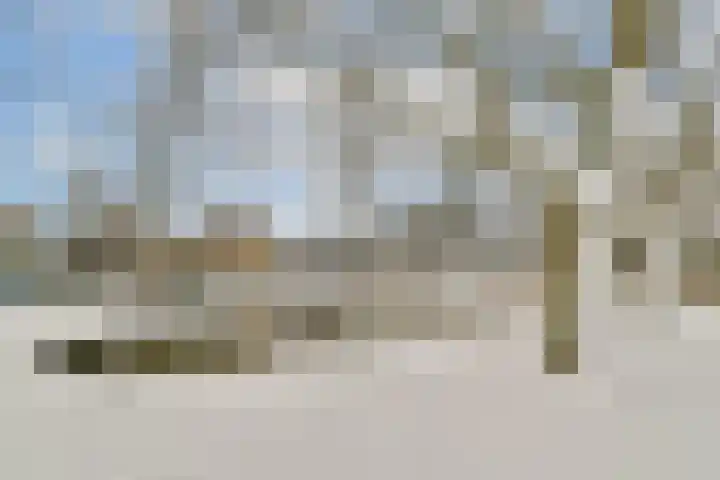Bachlaan 70 Rotterdam thumbnail 30